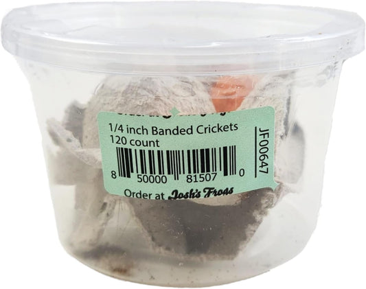 joshs-frogs-small-banded-crickets---14-size---120-count-1