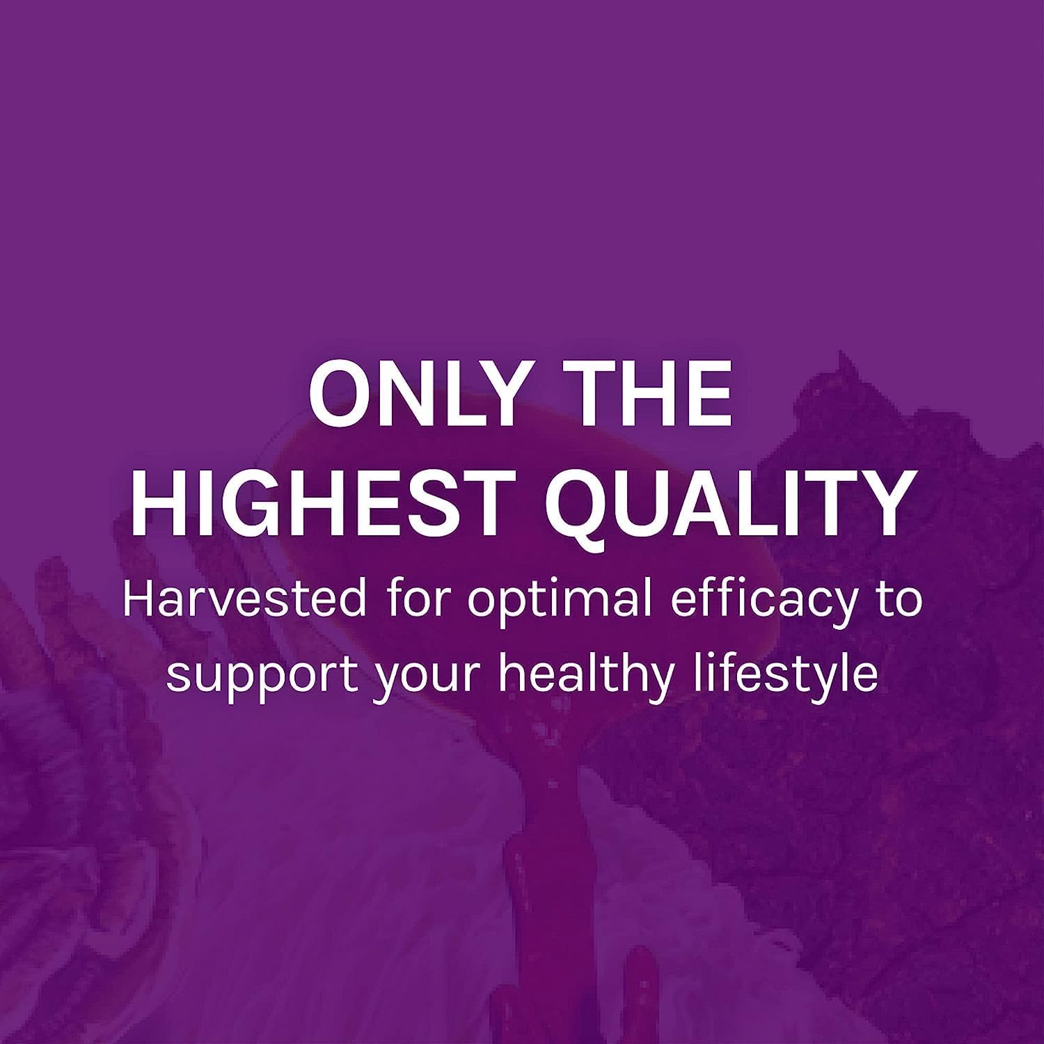 mycommunity-mushroom-supplement-capsules---immune-support-blend-with-17-mushroom-species-including-lions-mane-reishi-chaga-cordyceps-turkey-tail---60-capsules-30-servings-8