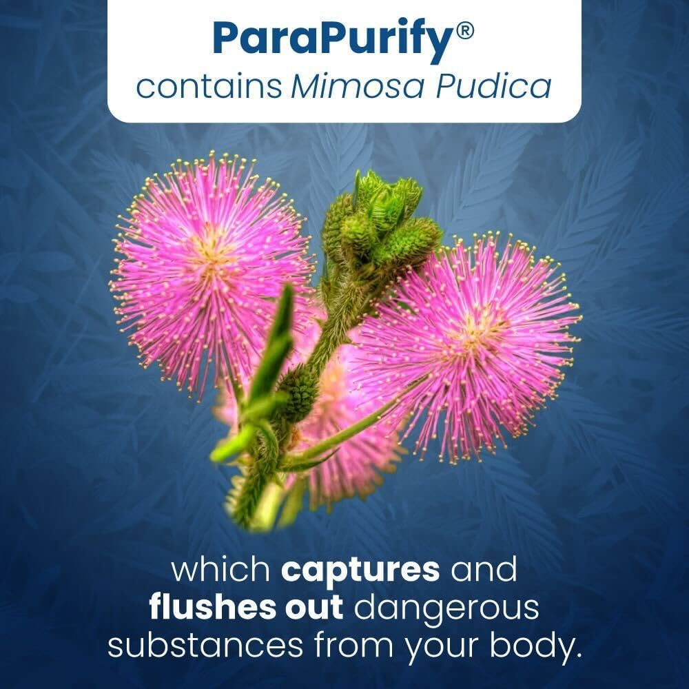 organic-digestive-health-support-supplement---parapurify-120-capsules-with-mimosa-pudica-black-walnut---non-gmo-herbal-blend-for-gut-health-5
