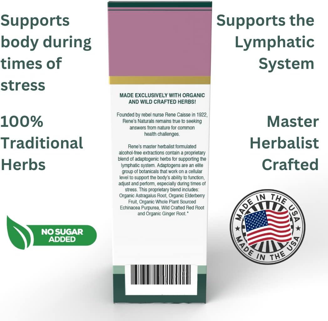 renes-naturals-lymphatic-drops---concentrated-5-herb-formula-alcohol-free-sugar-free-vegan-herbal-supplement-kosher-certified---2oz-up-to-2-months-supply-3