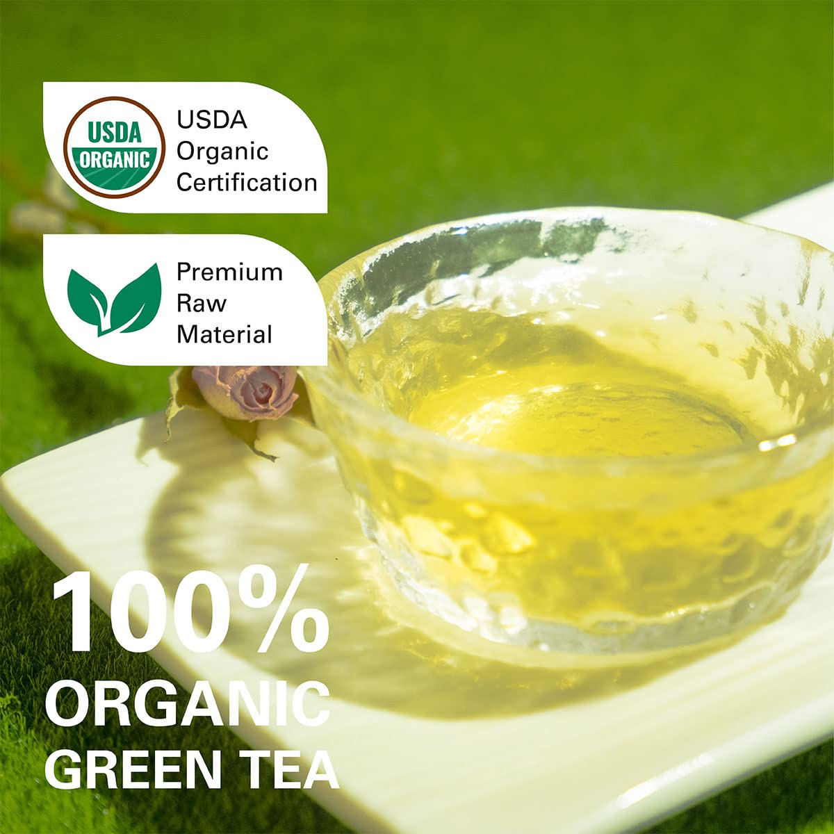 organic-green-tea-bags---100-count-usda-certified-pure-green-tea-with-super-antioxidant-properties-resealable-kraft-bag-for-hot-or-iced-brewing-3