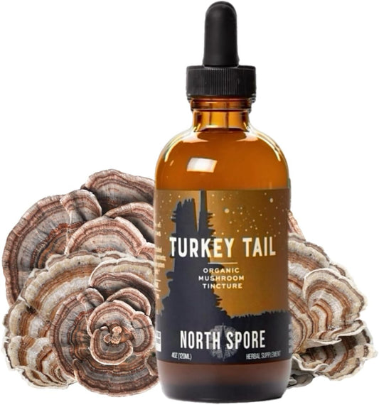 sustainably-grown-trametes-versicolor-tincture-organic-turkey-tail-mushroom-supplement-for-immune-support-vegan-non-gmo-extract---4oz-1
