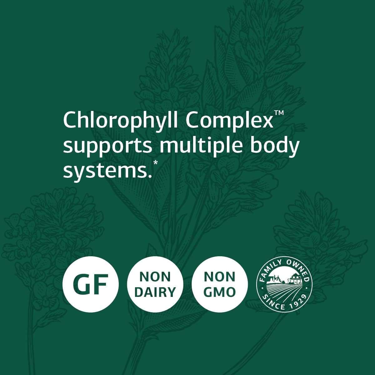 chlorophyll-complex-softgels-with-vitamin-a-for-immune-skin-and-hair-health---antioxidant-support-with-sunflower-lecithin---60-count-3