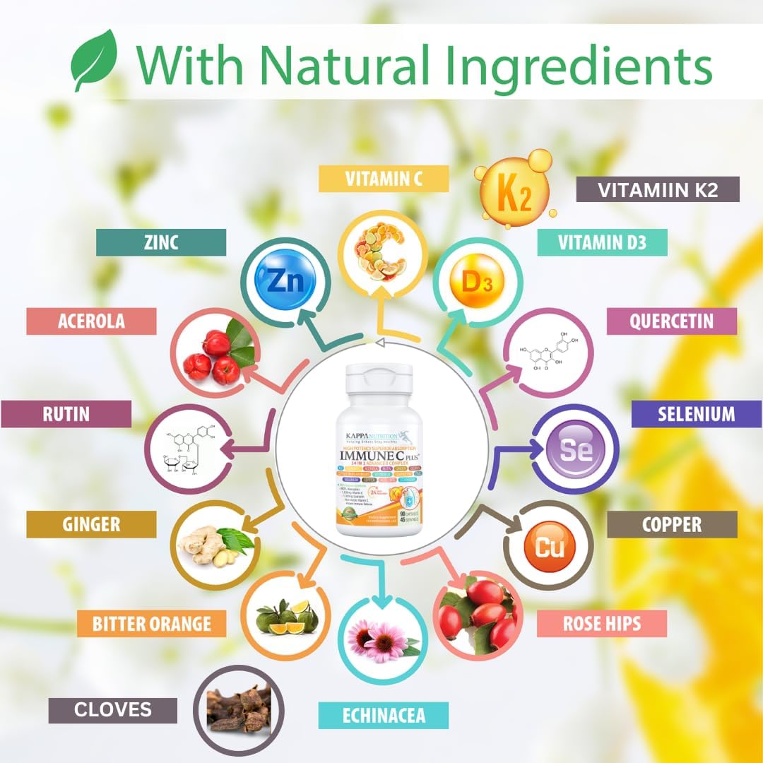 immune-support-supplement-with-quercetin-vitamin-c-zinc-vitamin-d3-and-more---60-count-4