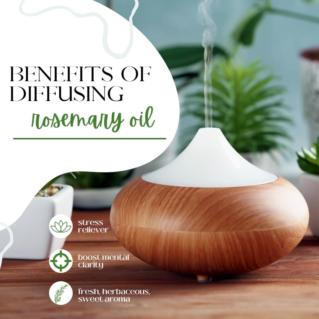 Rosemary Essential Oil - 16 fl oz (473 ml) Aluminum Bottle with Plug Cap - 100% Pure and Natural Oil - Espot.com.au