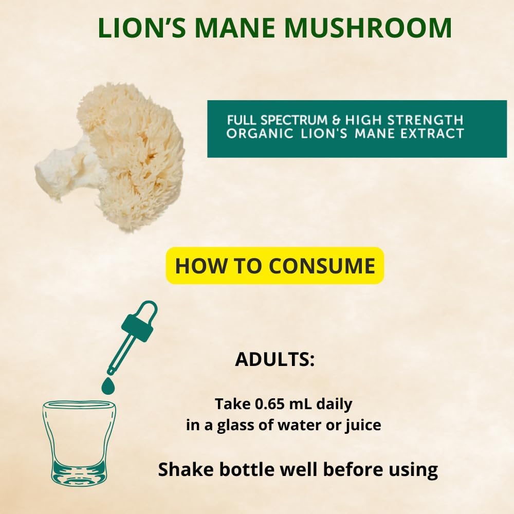 lions-mane-liquid-drops-for-focus-and-cognitive-support---vegan-nootropic-brain-supplement---3-month-supply---non-gmo-herbal-extract---2-fl-oz-5