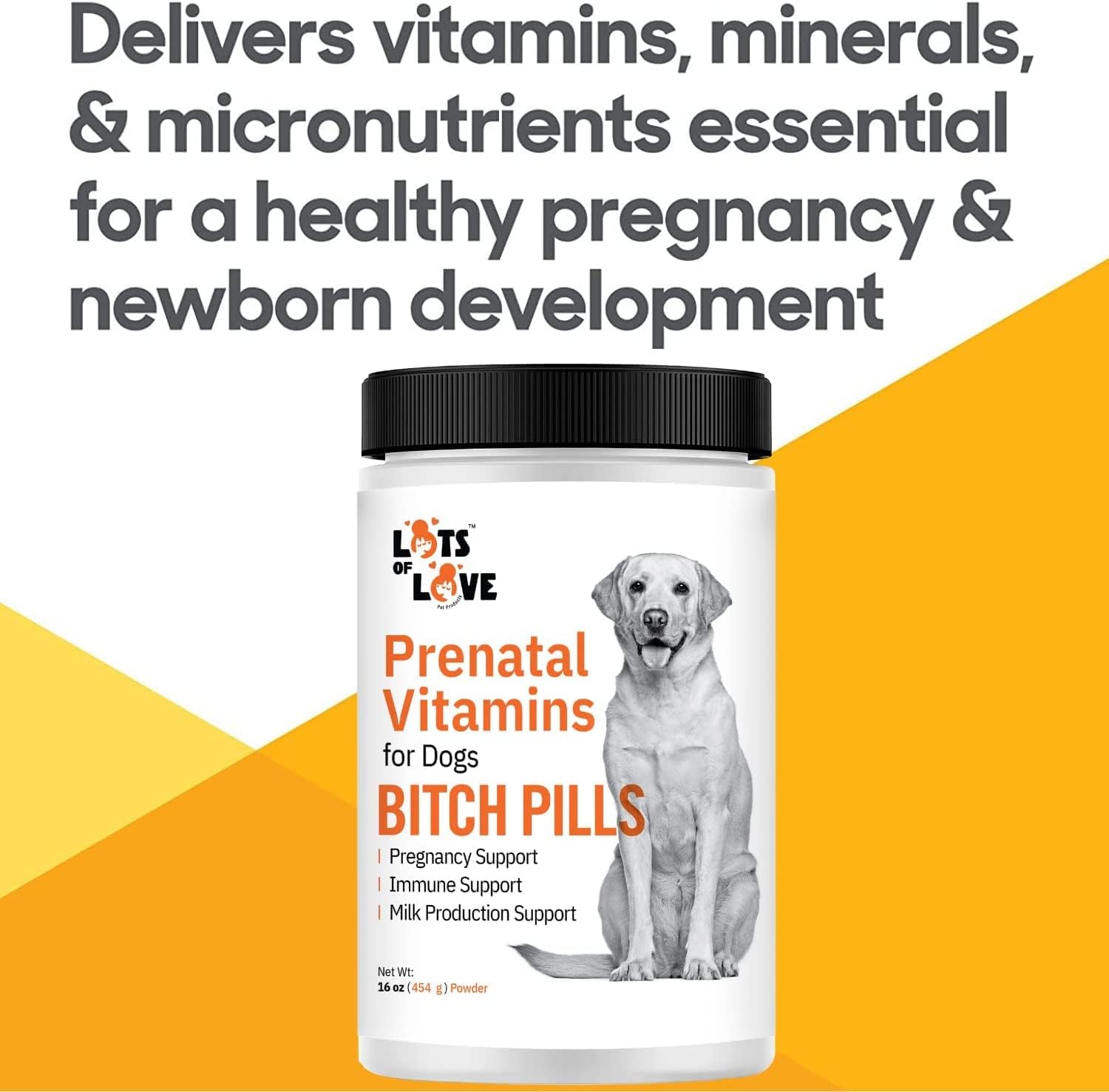 prenatal-vitamins-for-dogs---bitch-pills-powder-form-with-folic-acid-b12-calcium---pregnant-dog-supplies-liver---1-pound-5