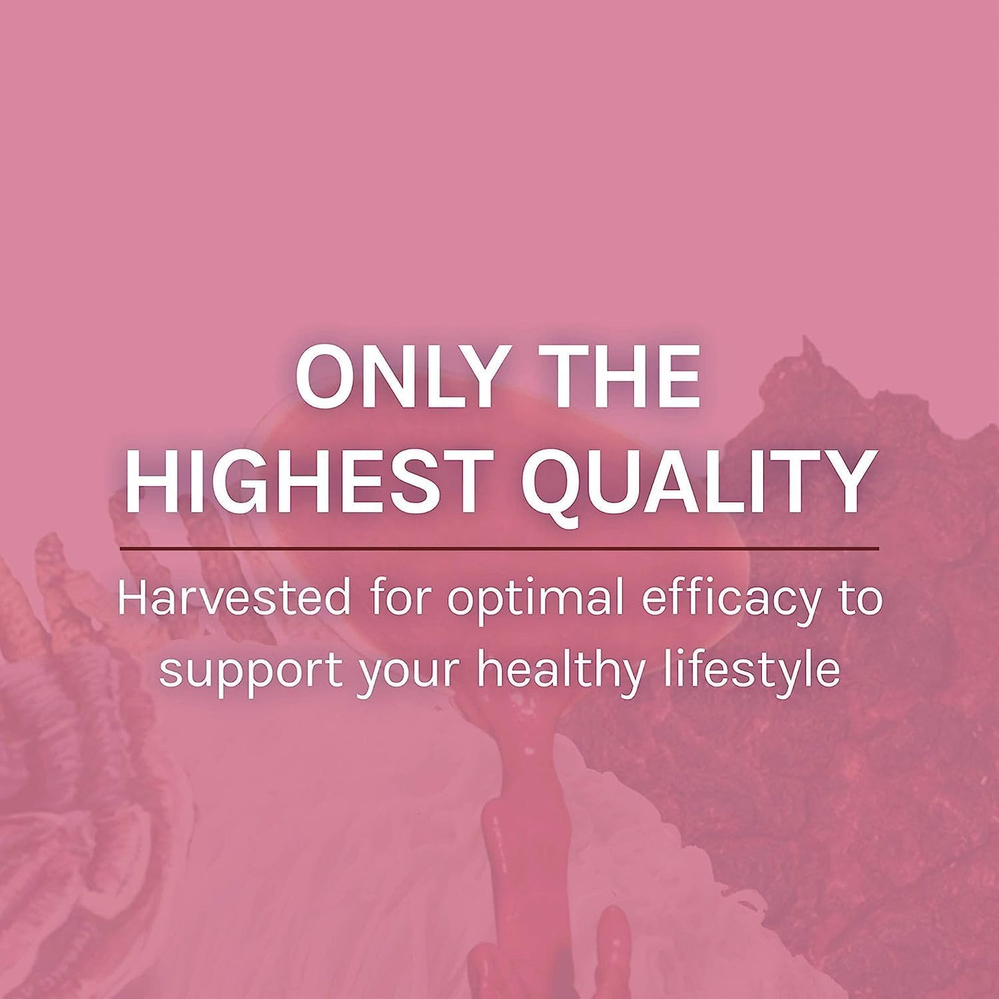 mycobotanicals-microbiome-powder---digestive-immune-support-supplement---gut-health-with-turkey-tail-lions-mane-reishi---35-oz-8