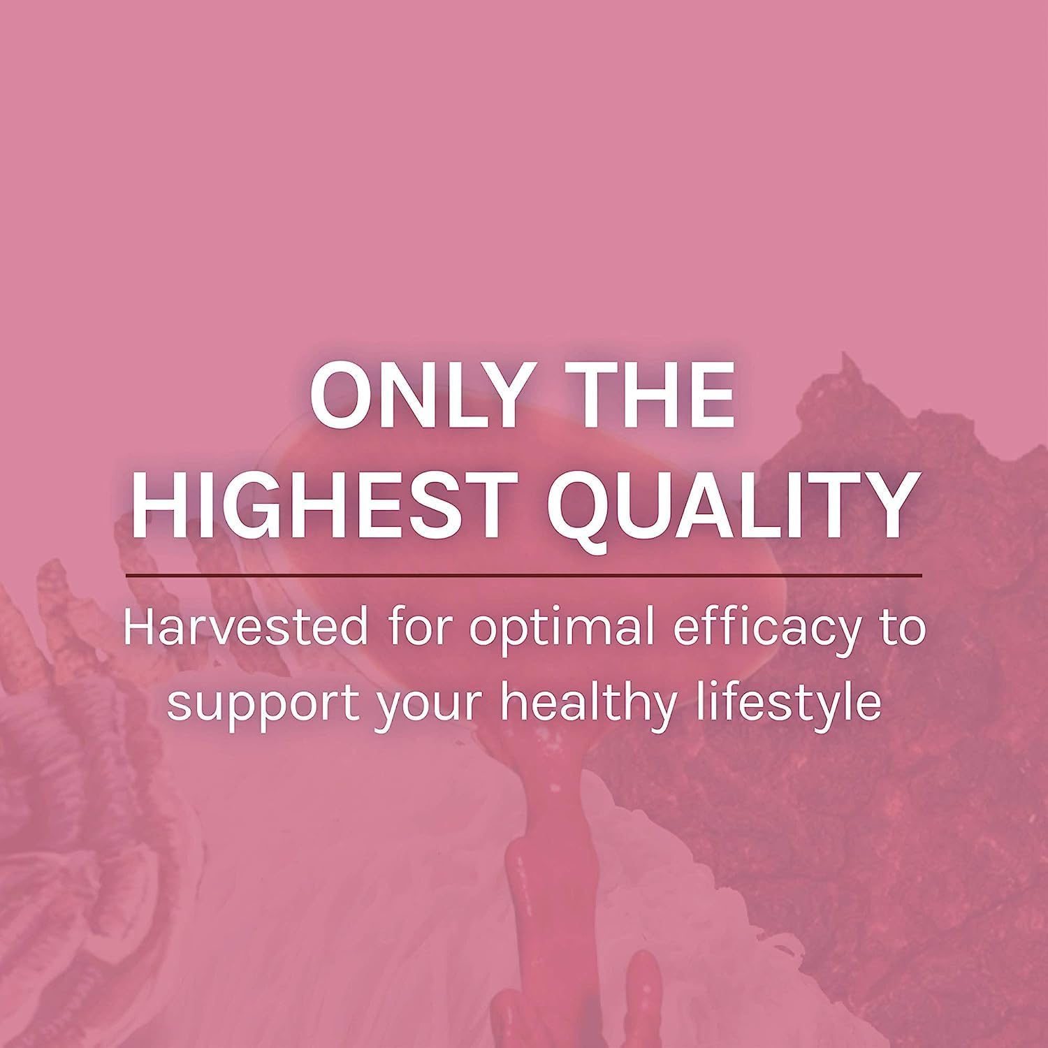 mycobotanicals-microbiome-powder---digestive-immune-support-supplement---gut-health-with-turkey-tail-lions-mane-reishi---35-oz-8