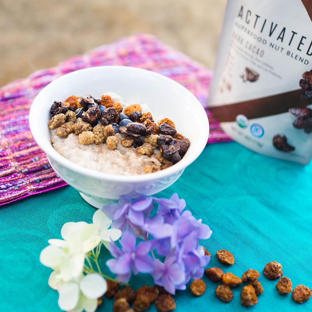 organic-vegan-gluten-free-dark-cacao-superfood-nut-blends-4-oz---living-intentions-5