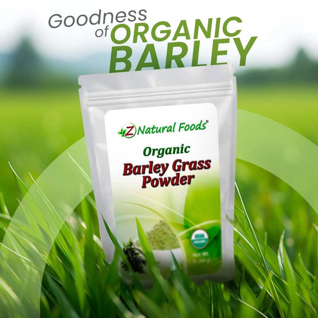 organic-barley-grass-powder---antioxidant-rich-superfood-for-energy-boost-vegan-gluten-free---1-lb-by-z-natural-foods-4