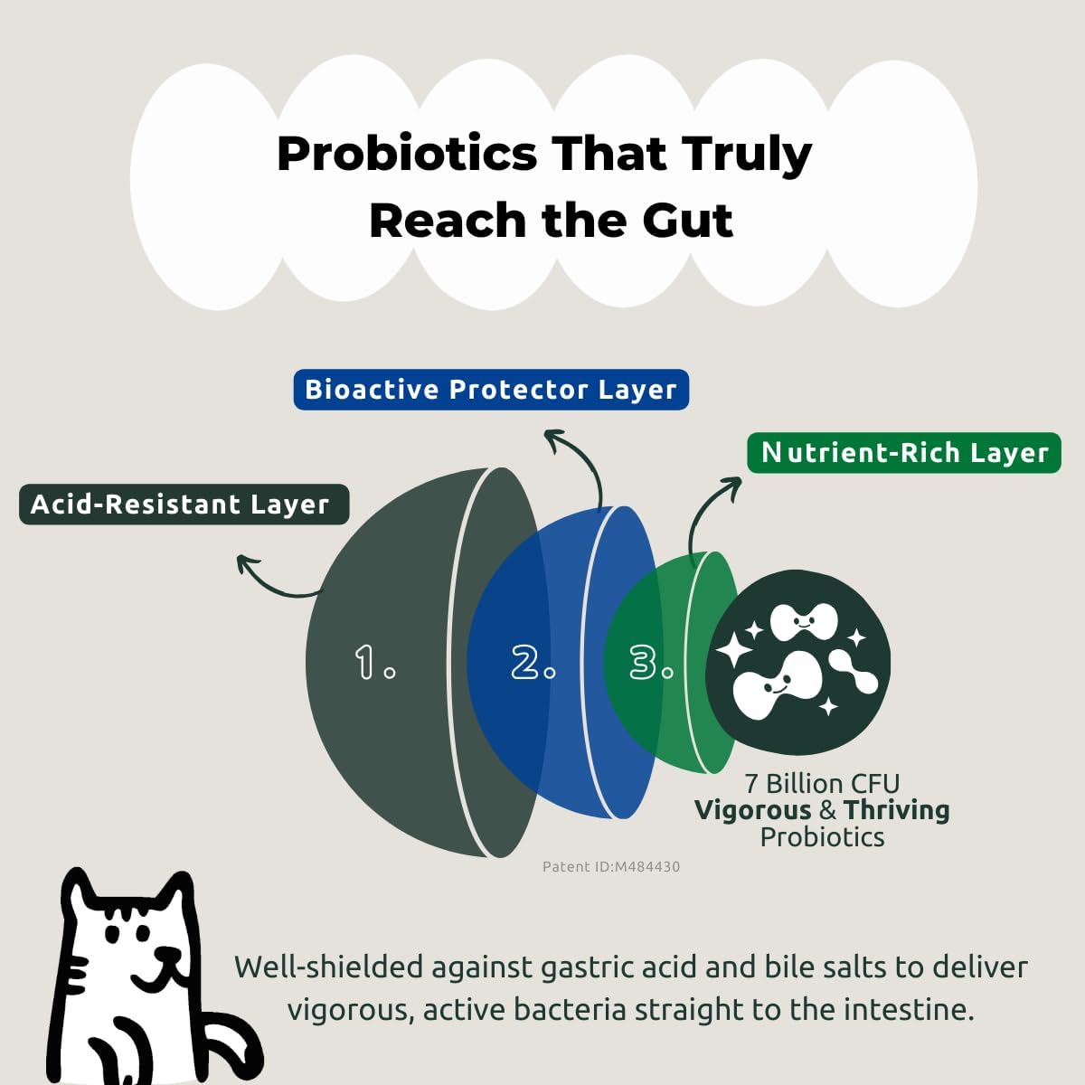 5-in-1-digestive-probiotics-powder-for-dogs-cats---chicken-flavor---7-billion-cfus-prebiotics-enzymes-fiber---30-packets-4