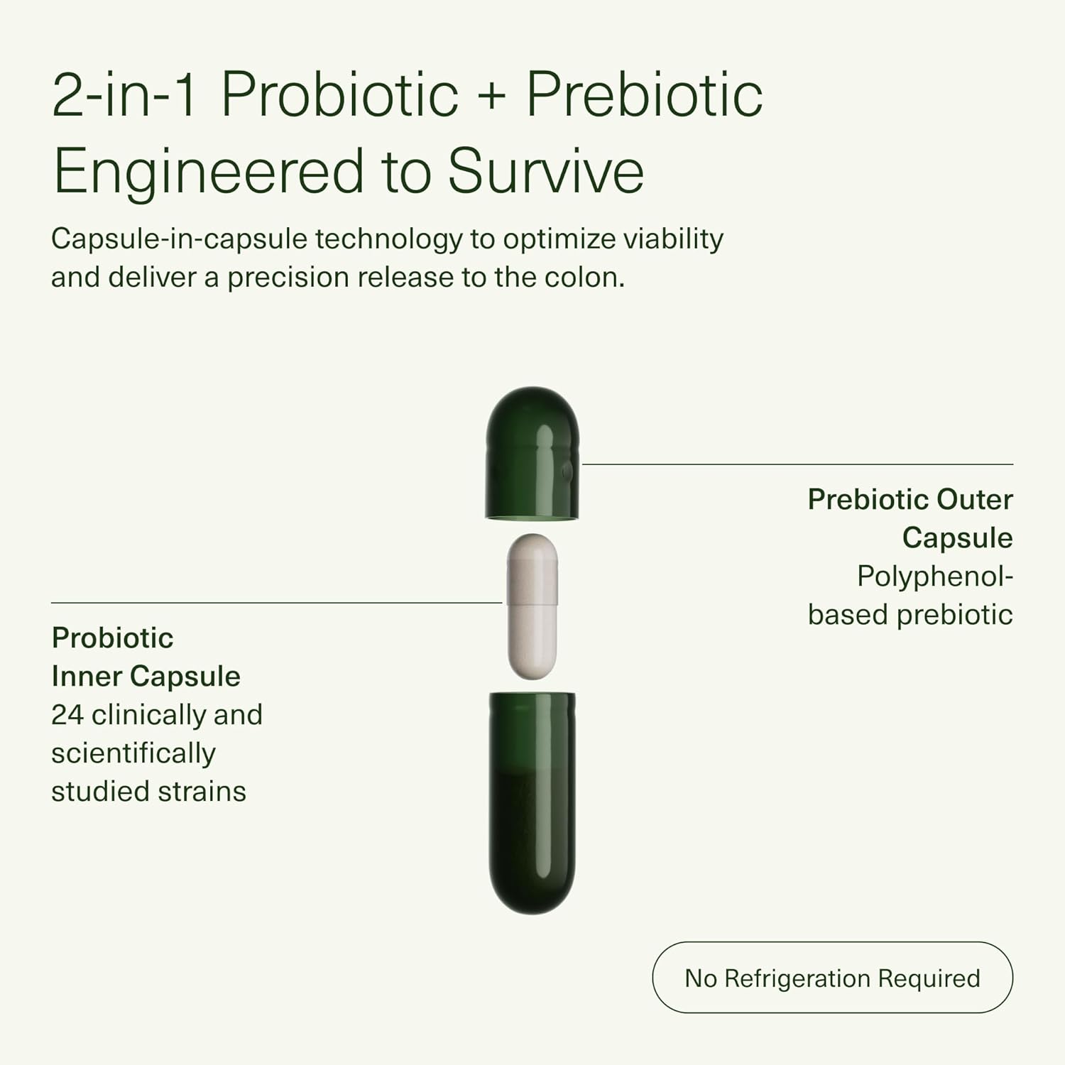 daily-synbiotic-ds-01-prebiotic-and-probiotic-for-digestive-health---immune-support-bloating-relief---vegan-shelf-stable---60-capsules-4