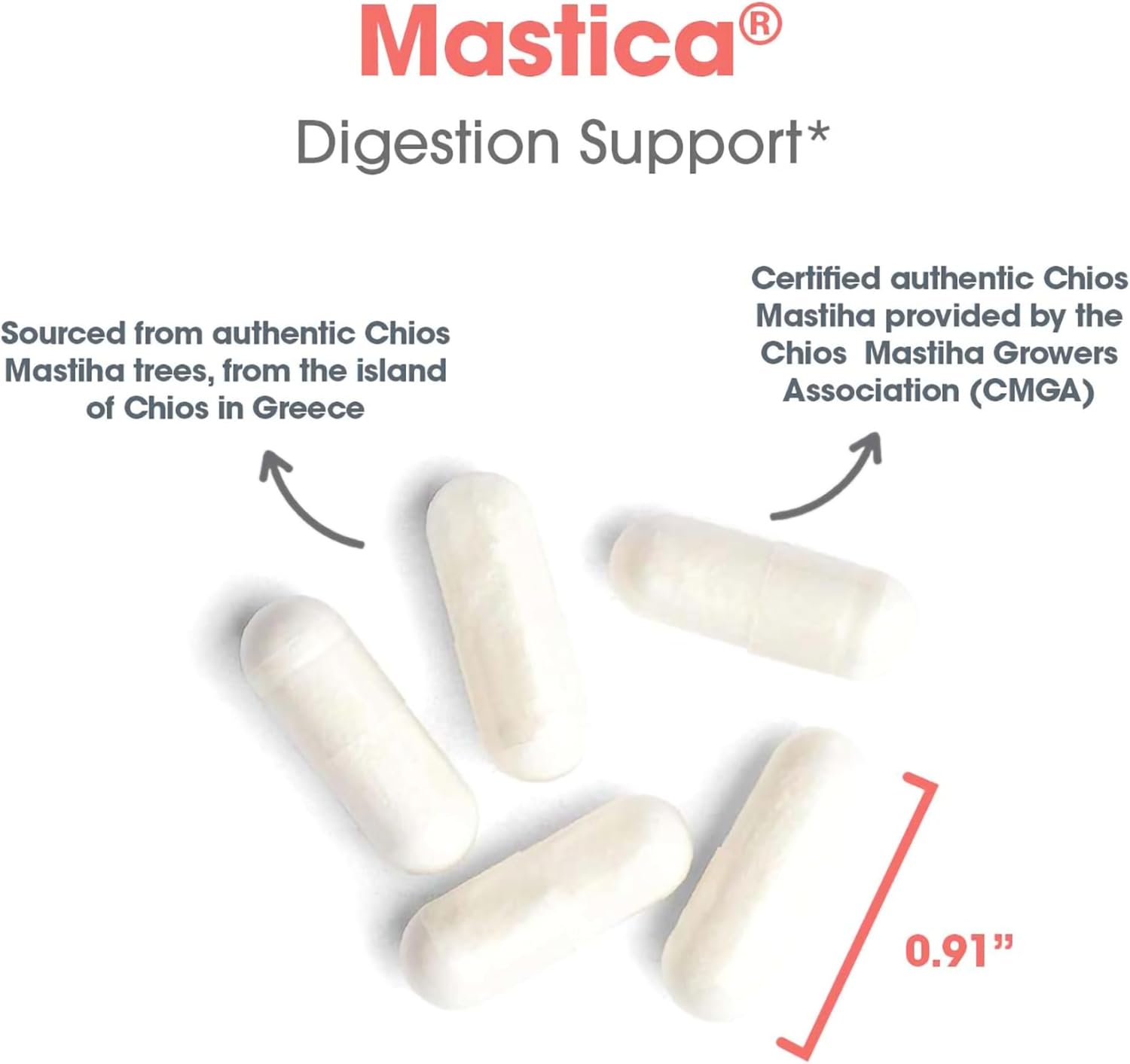 mastica-dietary-supplement-for-gi-health---relieves-digestive-issues-chios-gum-mastic-hypoallergenic-vegetarian-capsules---240-count-5