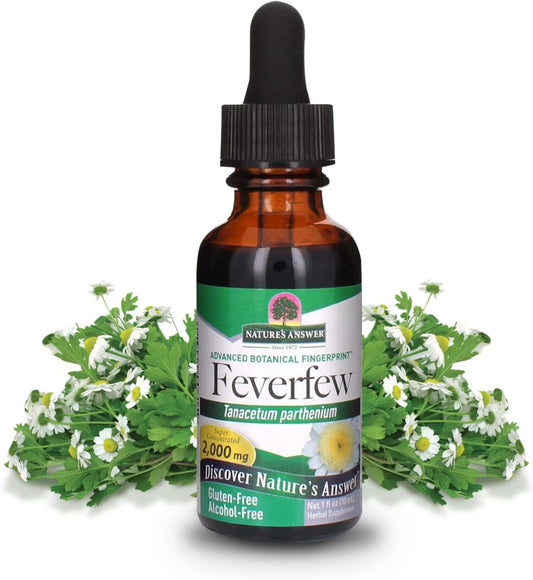 alcohol-free-feverfew-extract-2000mg-source-of-parthenolide-promotes-overall-well-being-1oz-bottle-no-artificial-flavors-single-count-1