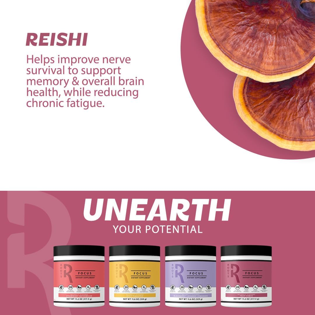 silver-star-nutrition-nootropic-brain-supplement-with-lions-mane-cordyceps-reishi-mushrooms-and-extended-release-caffeine---strawberry-watermelon-spicy-pineapple-flavor---100-servings-6