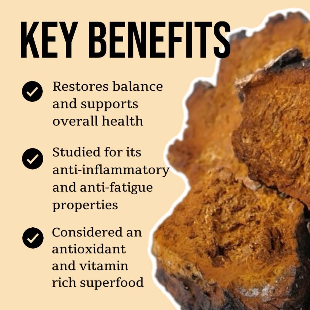 organic-chaga-mushroom-tincture-4-oz-immune-support-energy-boost-100-fruiting-body-extracts-certified-organic-vegan-non-gmo-adaptogenic-nootropic-made-in-usa-3