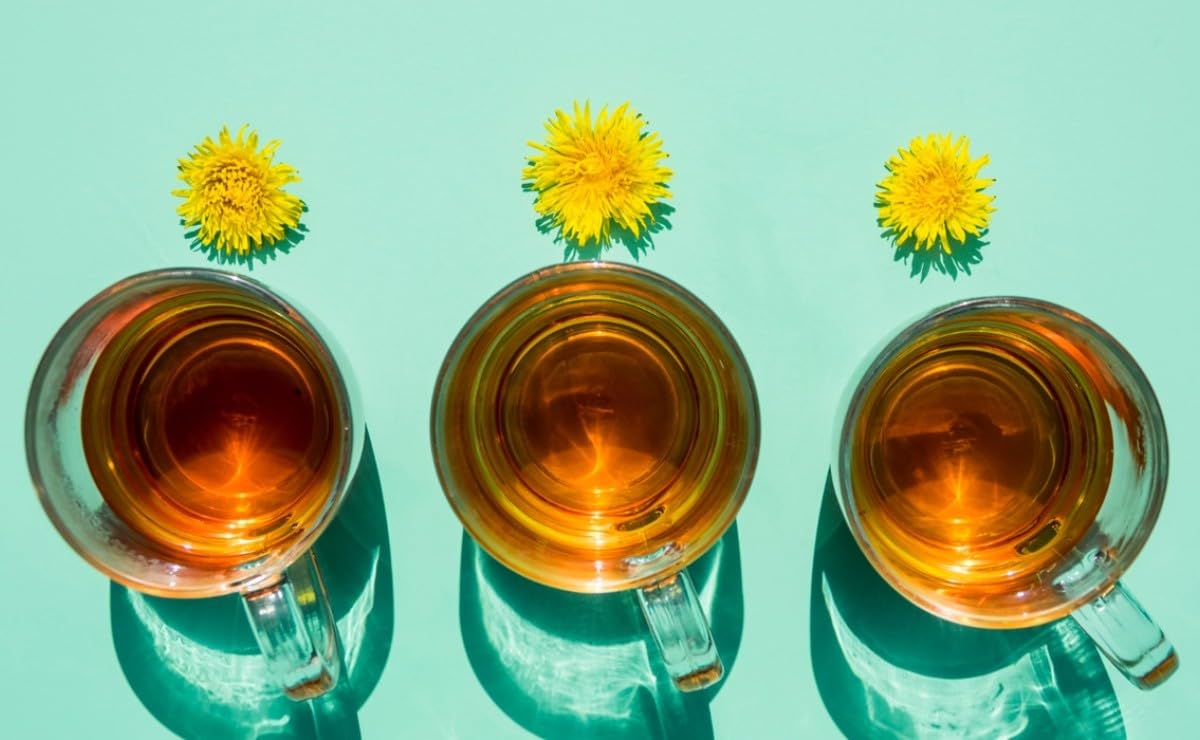 4oz-arnica-flower-tea---b-experts---flor-de-arnica---herbal-tea-for-pain-relief-and-wellness-1