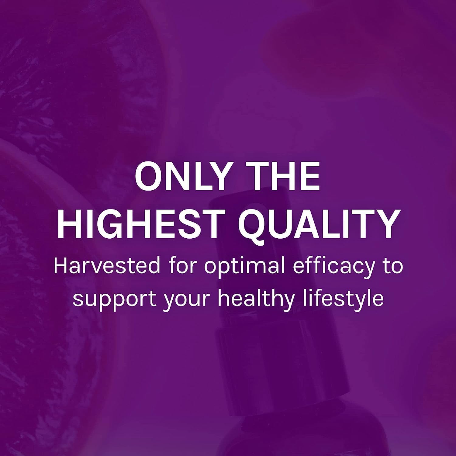 mycoshield-throat-spray---immune-support-with-chaga-reishi-turkey-tail---peppermint-flavored-mushroom-supplement---on-the-go-defense---1-fl-oz-8