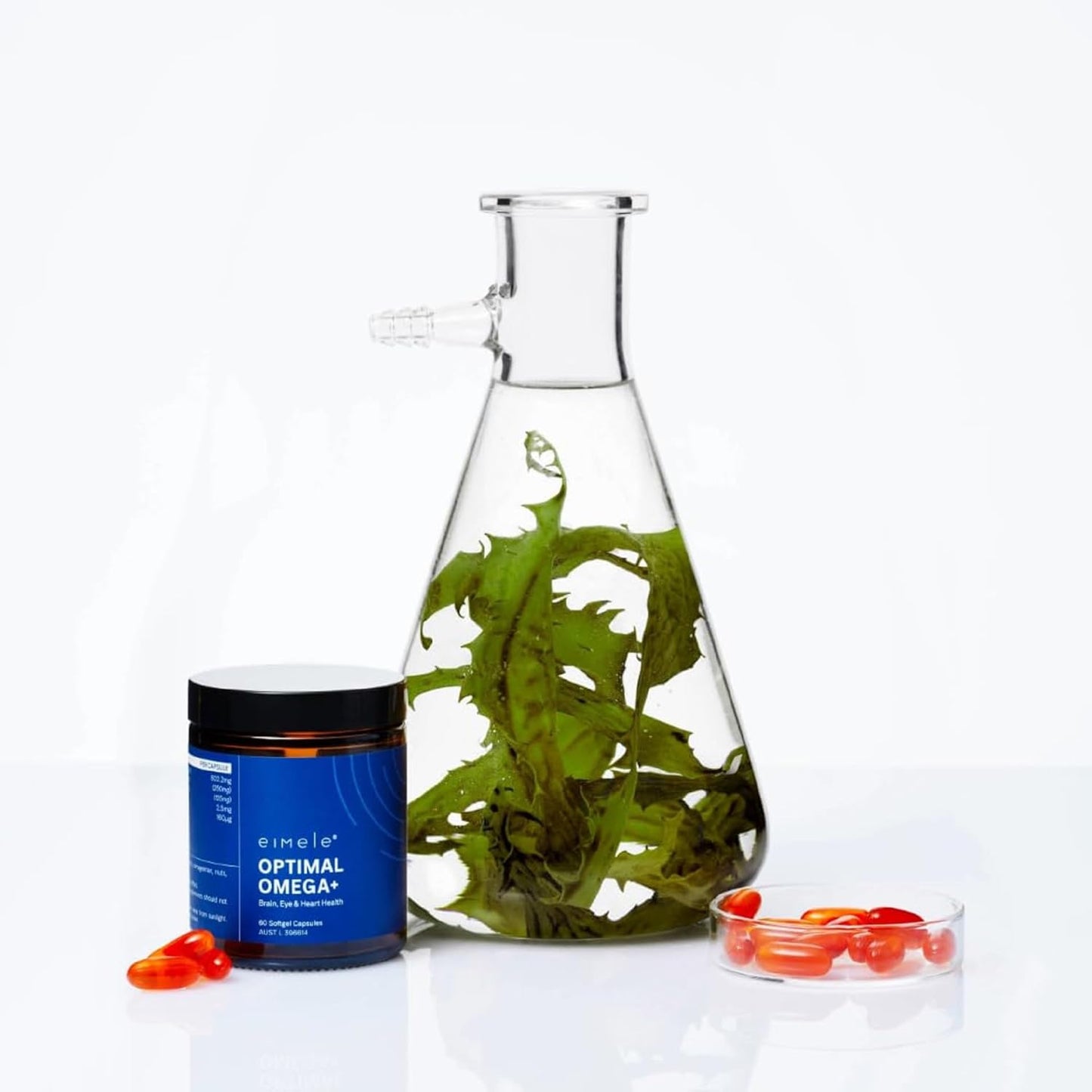 plant-based-omega-3-epa-dha-supplement-for-brain-eye-heart-health---60-vegan-softgel-capsules-with-antioxidant-support-5