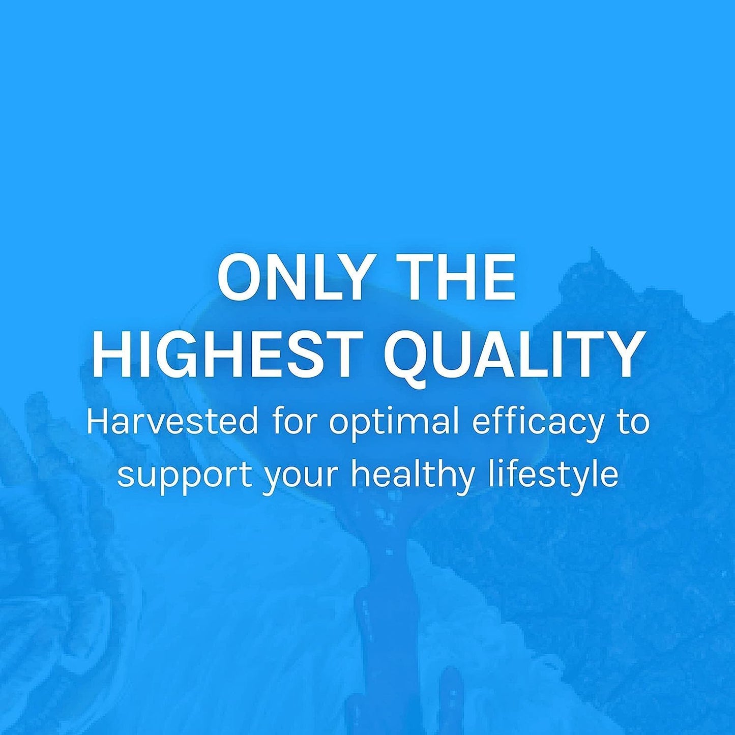 immune-and-respiratory-support-mushroom-supplement-capsules-with-chaga-reishi-and-cordyceps---herbal-lung-health-support---30-capsules-8