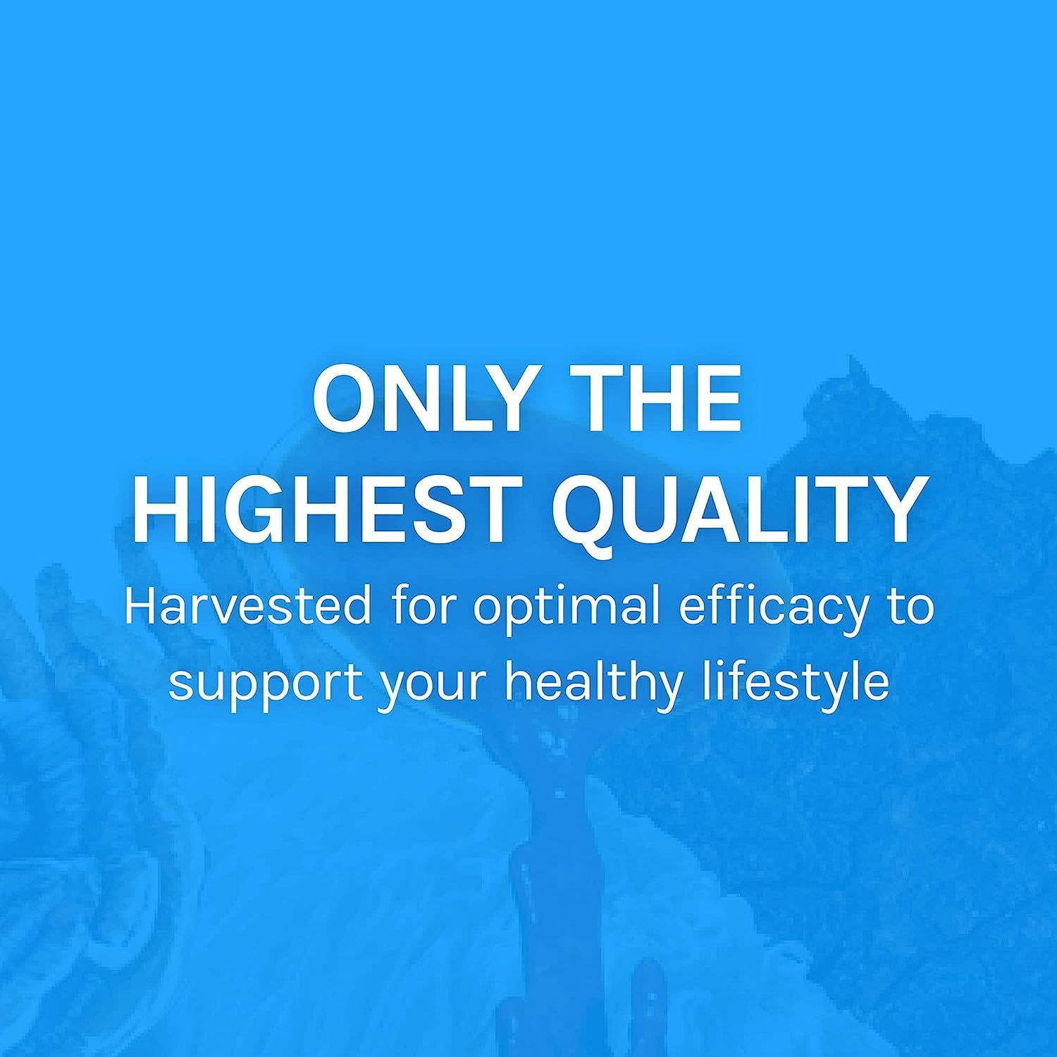 immune-and-respiratory-support-mushroom-supplement-capsules-with-chaga-reishi-and-cordyceps---herbal-lung-health-support---30-capsules-8