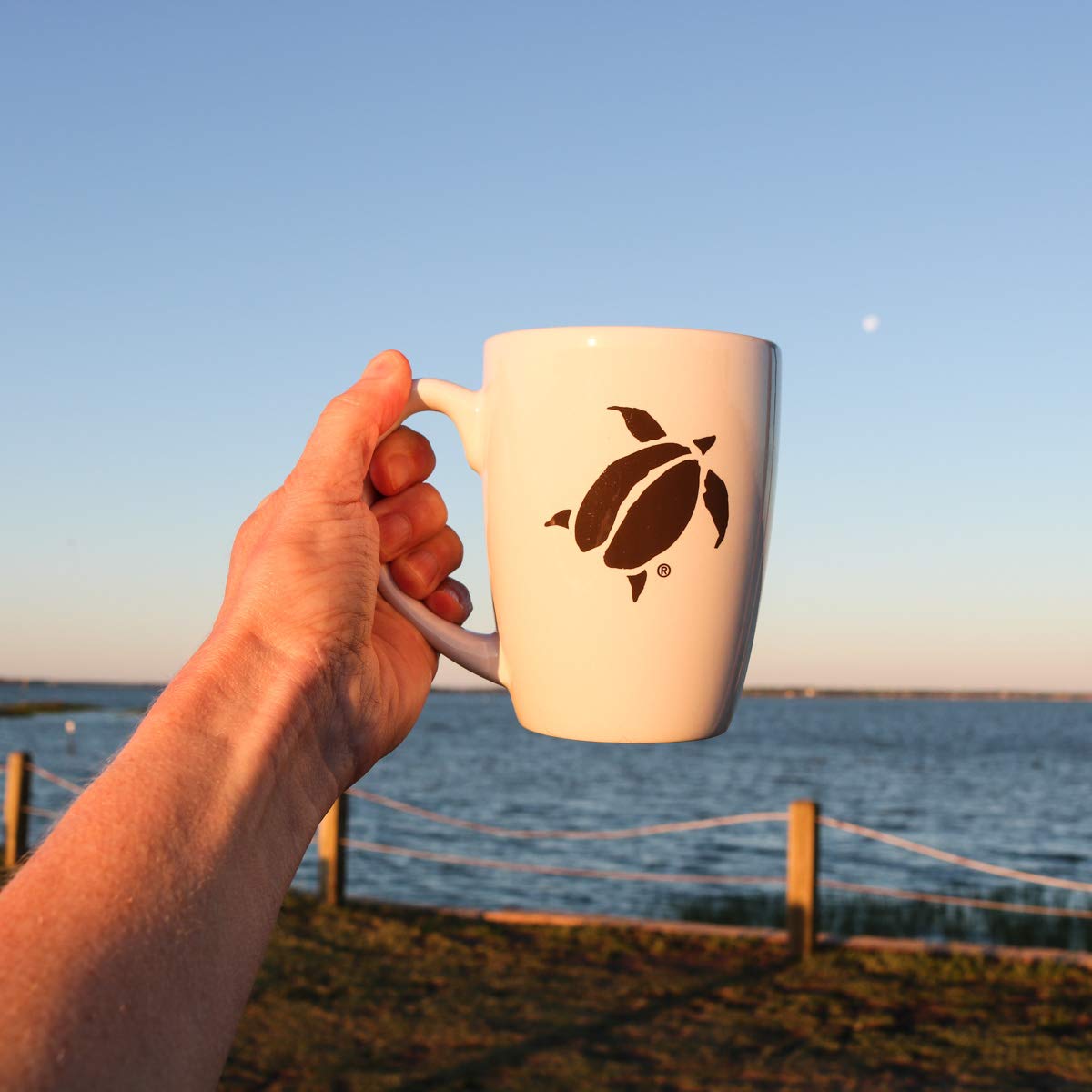 organic-medium-roast-ground-coffee-from-charleston-coffee-roasters---premium-slow-roasted-specialty-blend---12oz-pack-of-6-5