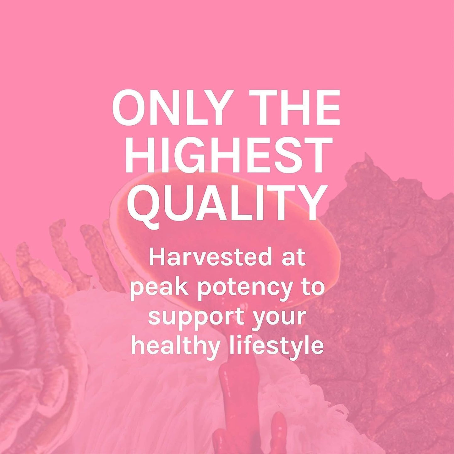 turkey-tail-mushroom-capsules-for-digestive-health-immune-system-support---gastrointestinal-gut-microbiome-supplement---30-capsules-8