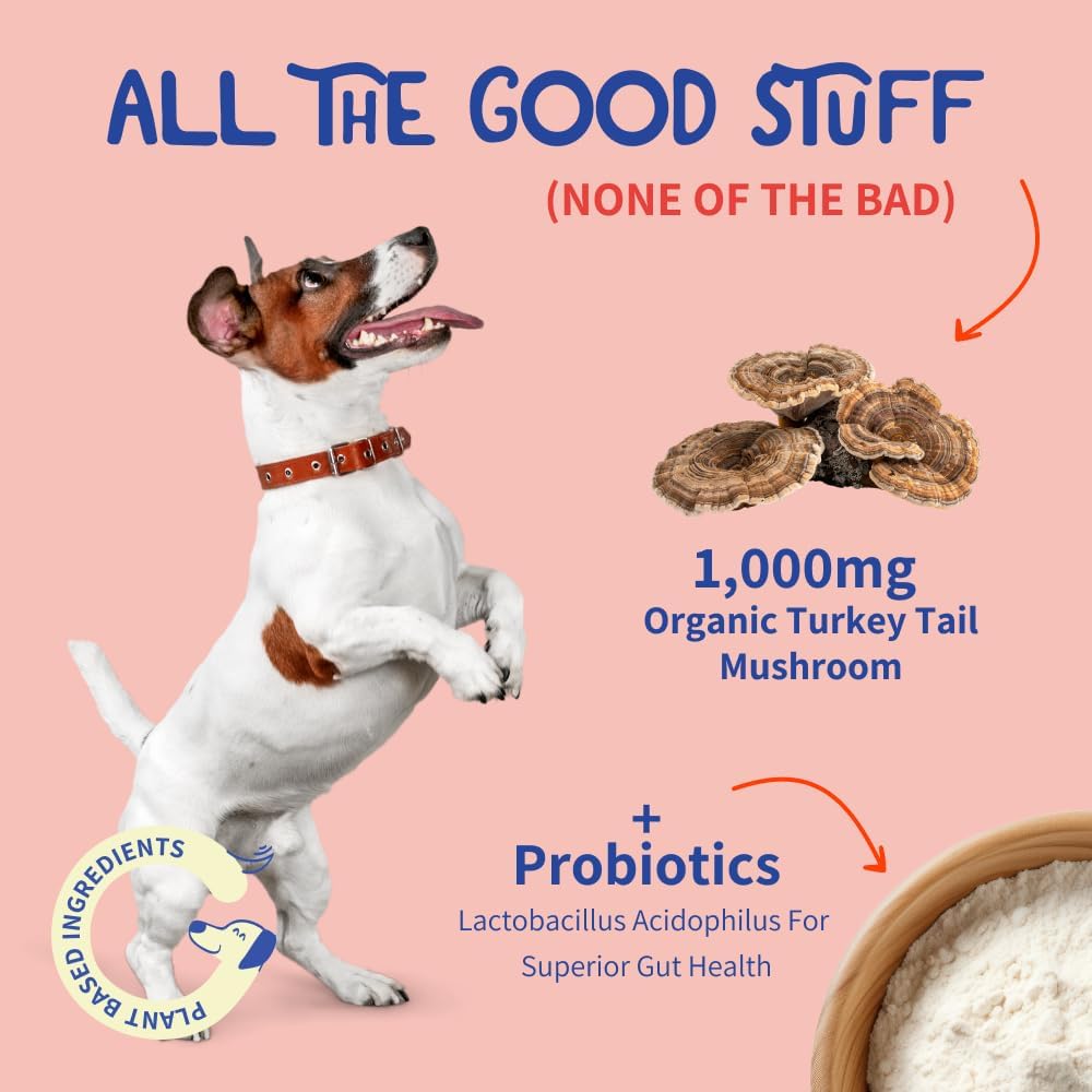 natural-probiotic-supplement-for-dogs---turkey-tail-mushroom-powder-for-dog-digestive-health-immune-support---100-servings-458-oz-4