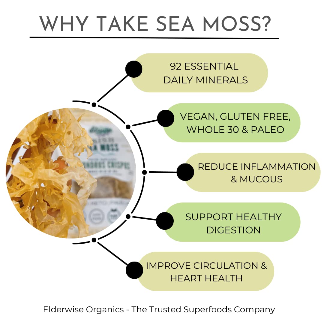 organic-irish-sea-moss-from-ireland-wildcrafted-chondrus-crispus-raw-irish-moss-golden-color-2