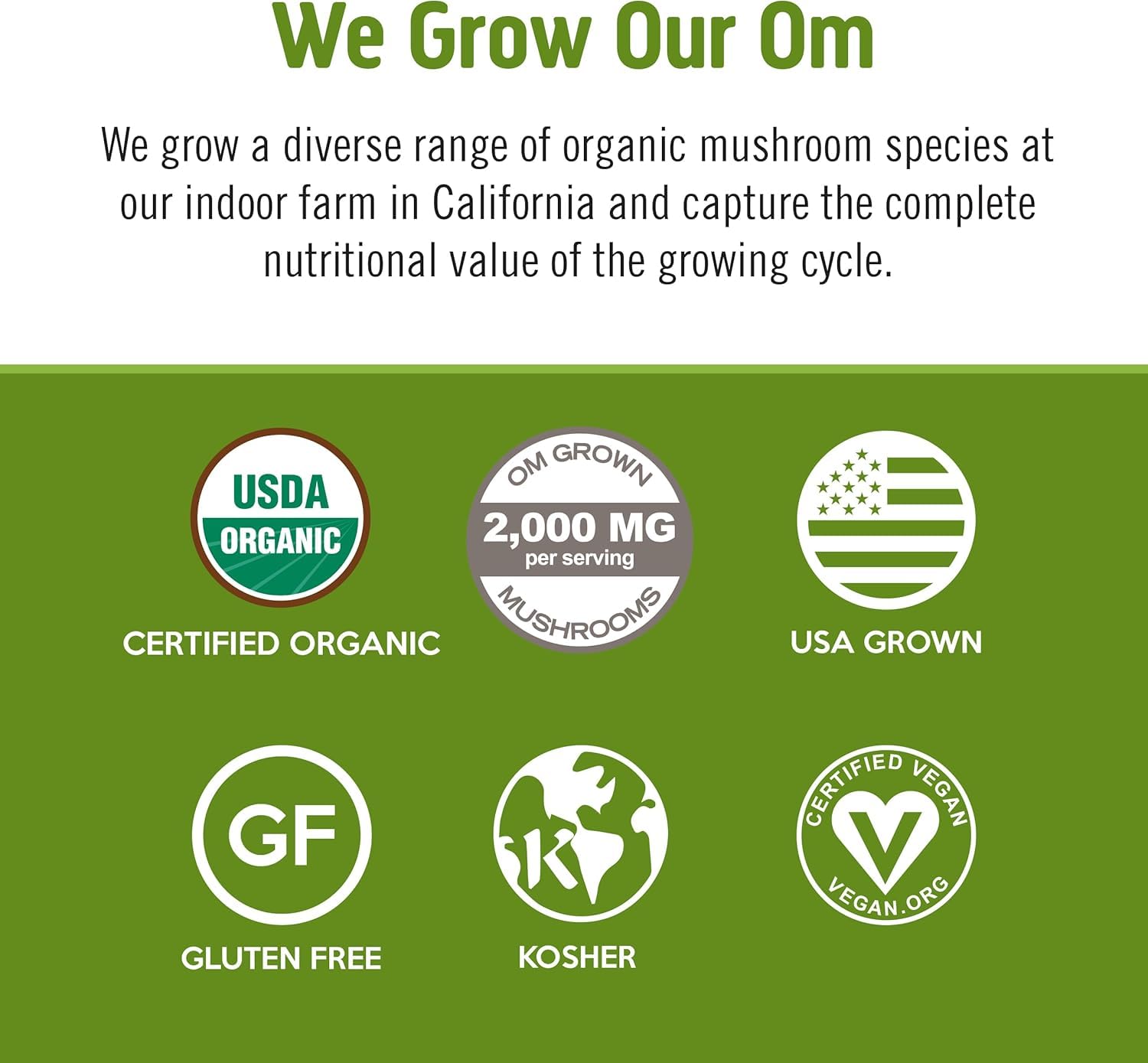 om-mushroom-superfood-matcha-latte-blend-mushroom-powder---10-single-serve-packets-for-focus-stress-support---green-tea-with-lions-mane-reishi-chaga-turkey-tail-11