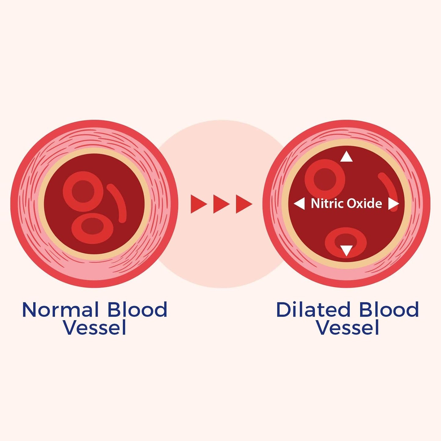 vasqflow-nitric-oxide-booster-supplement-with-red-spinach-extract-aged-garlic---supports-circulation-blood-flow-energy-heart-health-and-muscle---1-month-supply-90-count-5