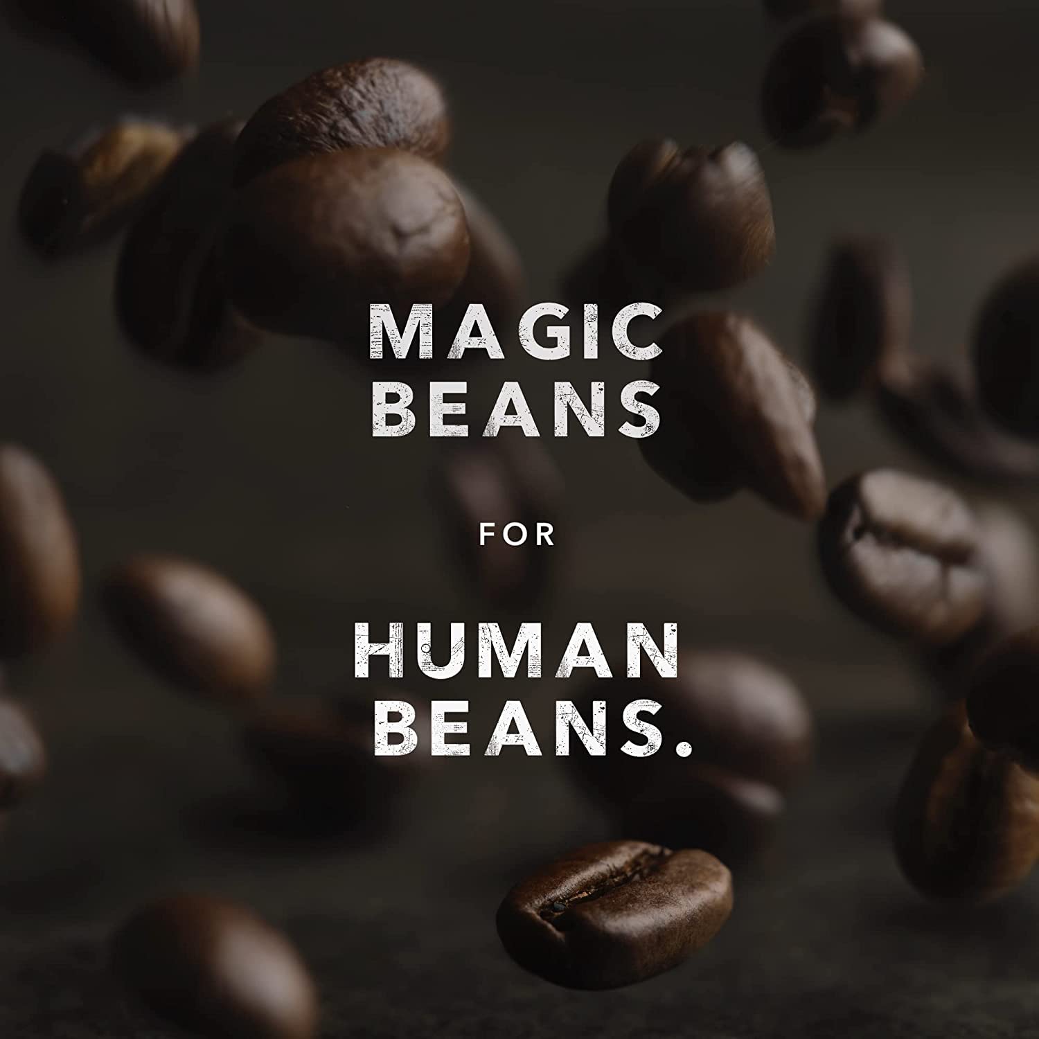 organic-decaf-dark-roast-whole-bean-coffee-1-lb---fairtrade-kosher-swiss-water-process---kicking-horse-4