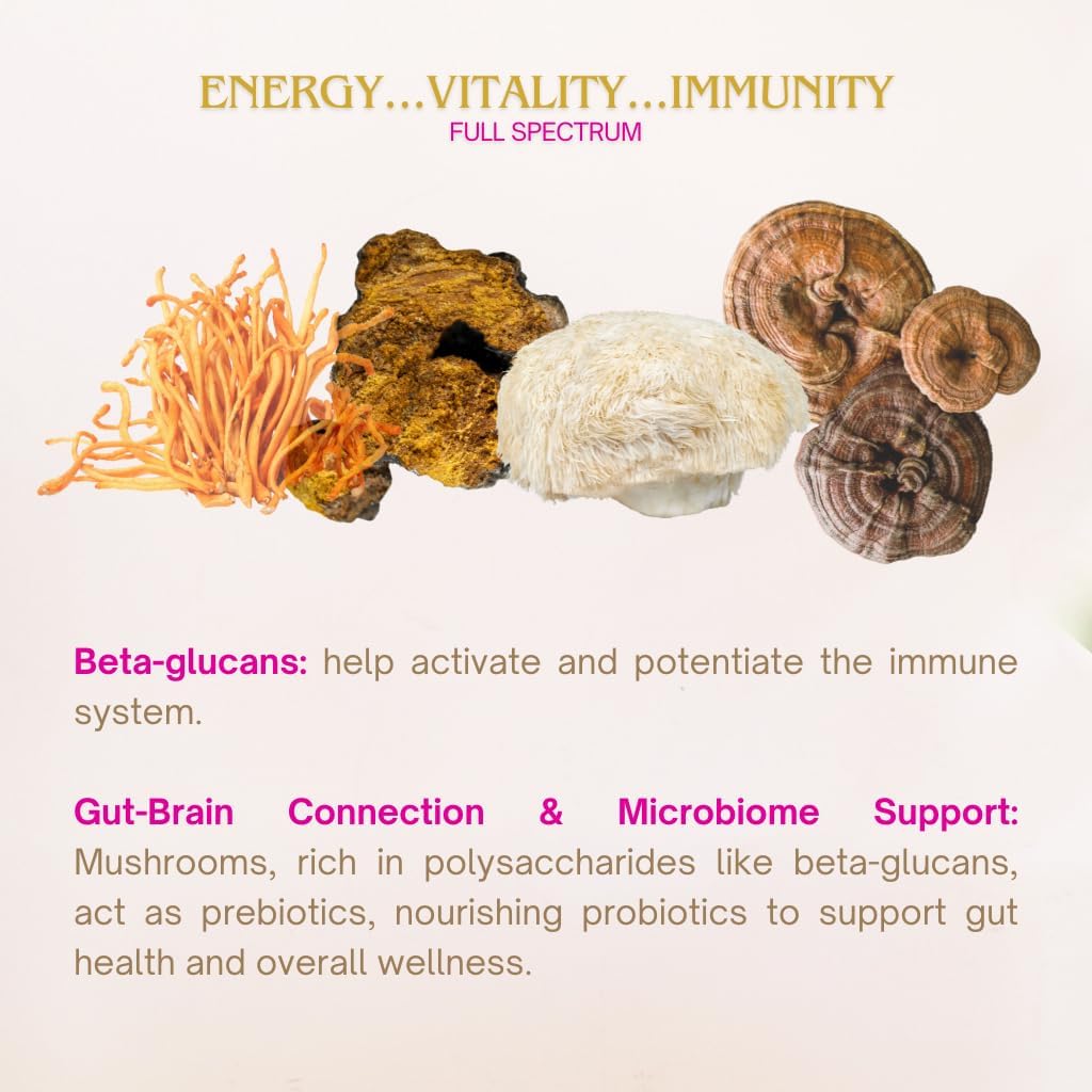 organic-reishi-mushroom-powder-by-eleven-tlc-us-grown-3rd-party-tested-ganoderma-lucidum-for-mind-body-energy-balance-and-immune-wellness---vegan-gmo-free-40-servings-7