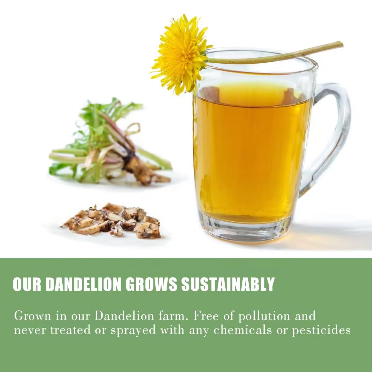pack-of-50-dandelion-root-tea-bags---non-gmo-caffeine-free-herbal-tea---25gx50-teabags---yunhe-tea-3