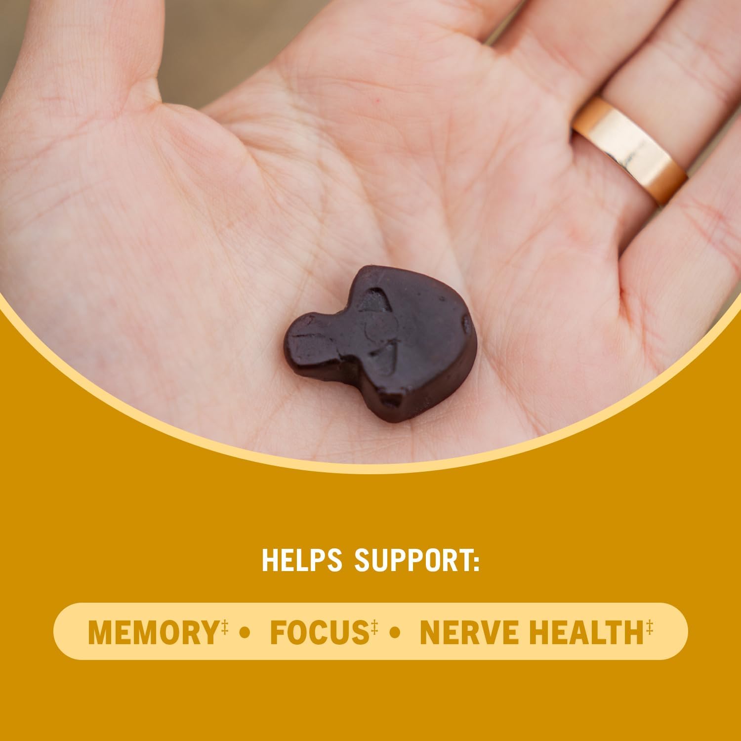 60-count-lions-mane-mushroom-gummies-for-memory-focus-nerve-health-mood-support---30-servings-3