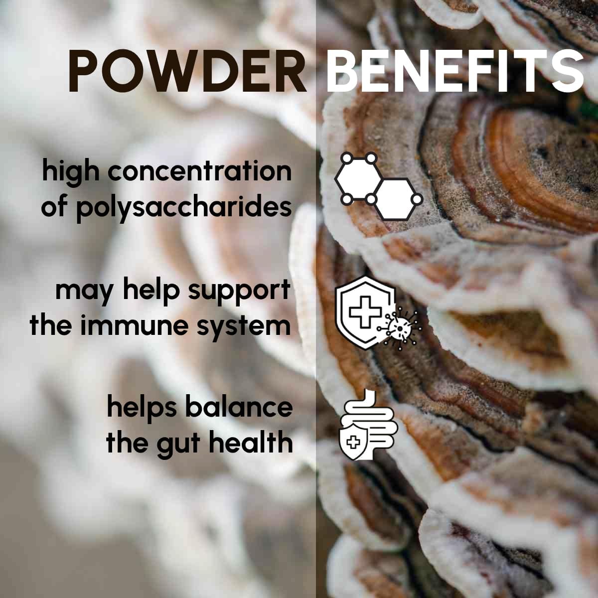 organic-turkey-tail-mushroom-powder-8-oz---natural-mushroom-supplement-with-psp-and-psk---pet-friendly-by-beleon-goods-for-life-2