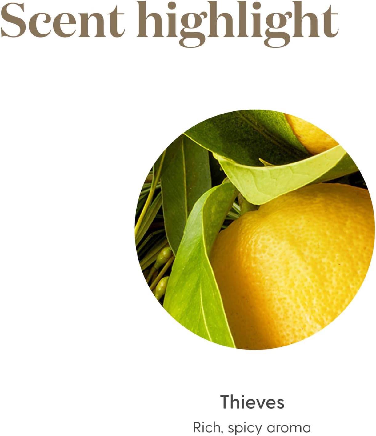 young-living-essential-oils-thieves-5ml---100-pure-essential-oil-blend-for-immune-support-6
