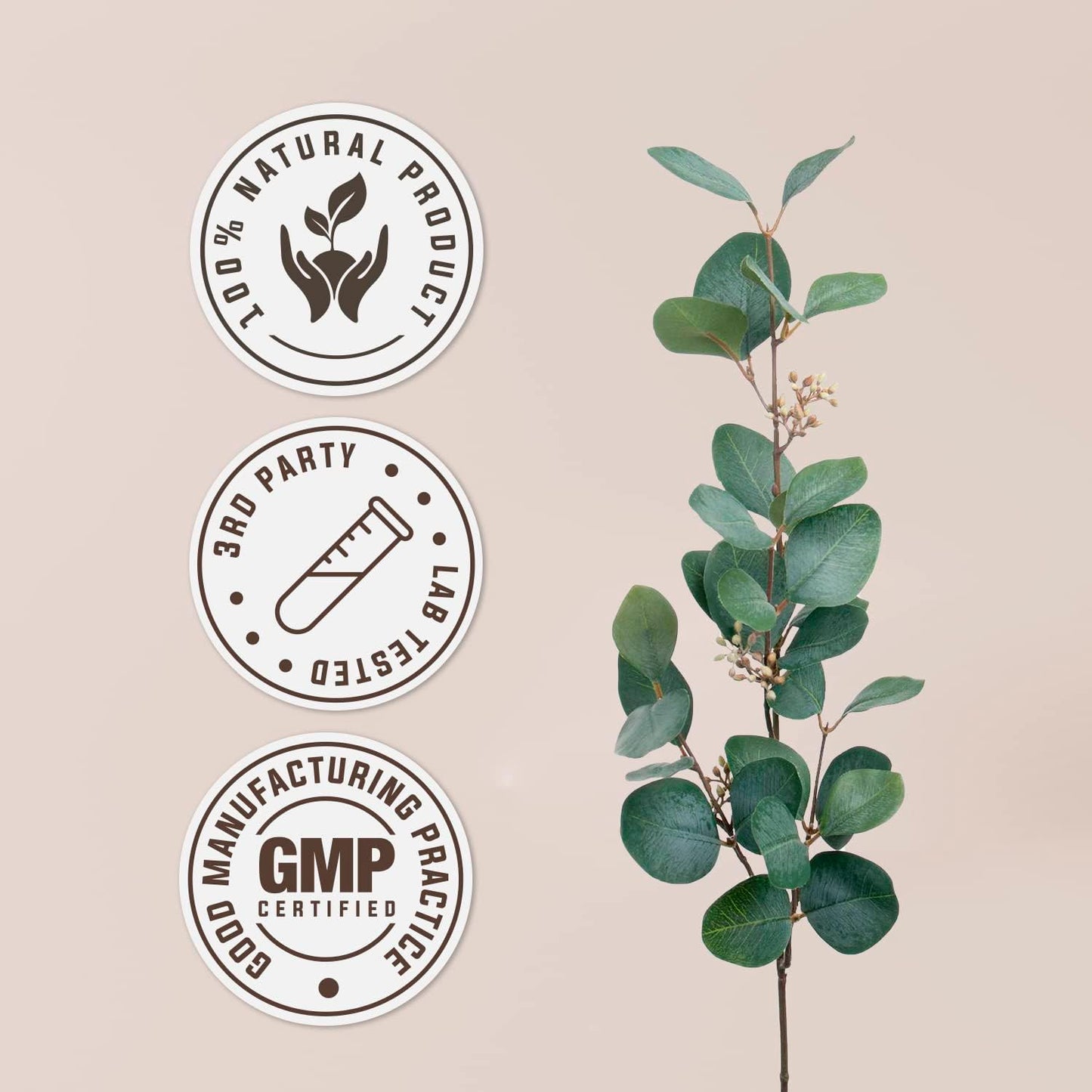 usda-certified-organic-rhodiola-rosea-herbal-extract---alcohol-free-tincture-supplement---4-oz-bottle-4