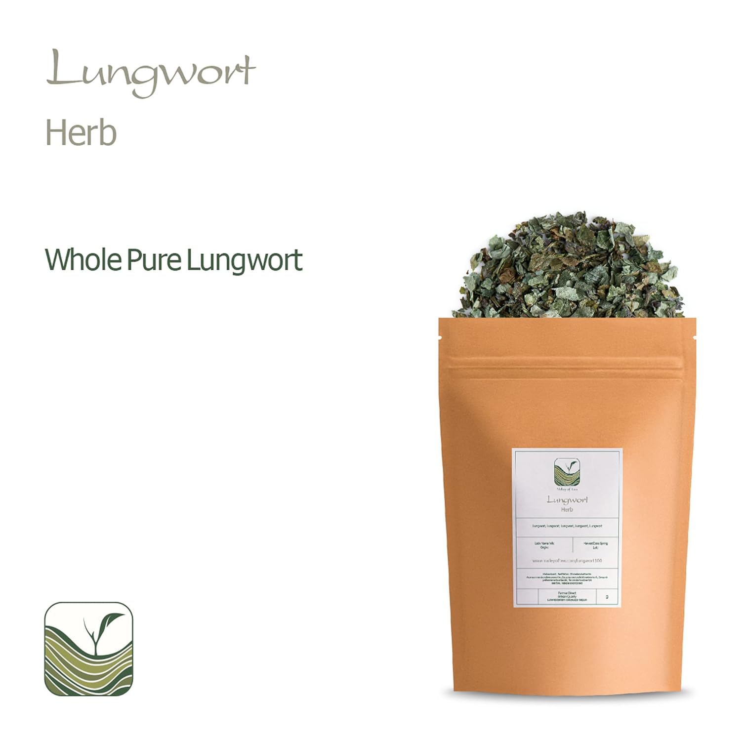 organic-valley-lungwort-herb-tea---pulmonaria-officinalis-l---lungwort-tea-for-respiratory-health-4