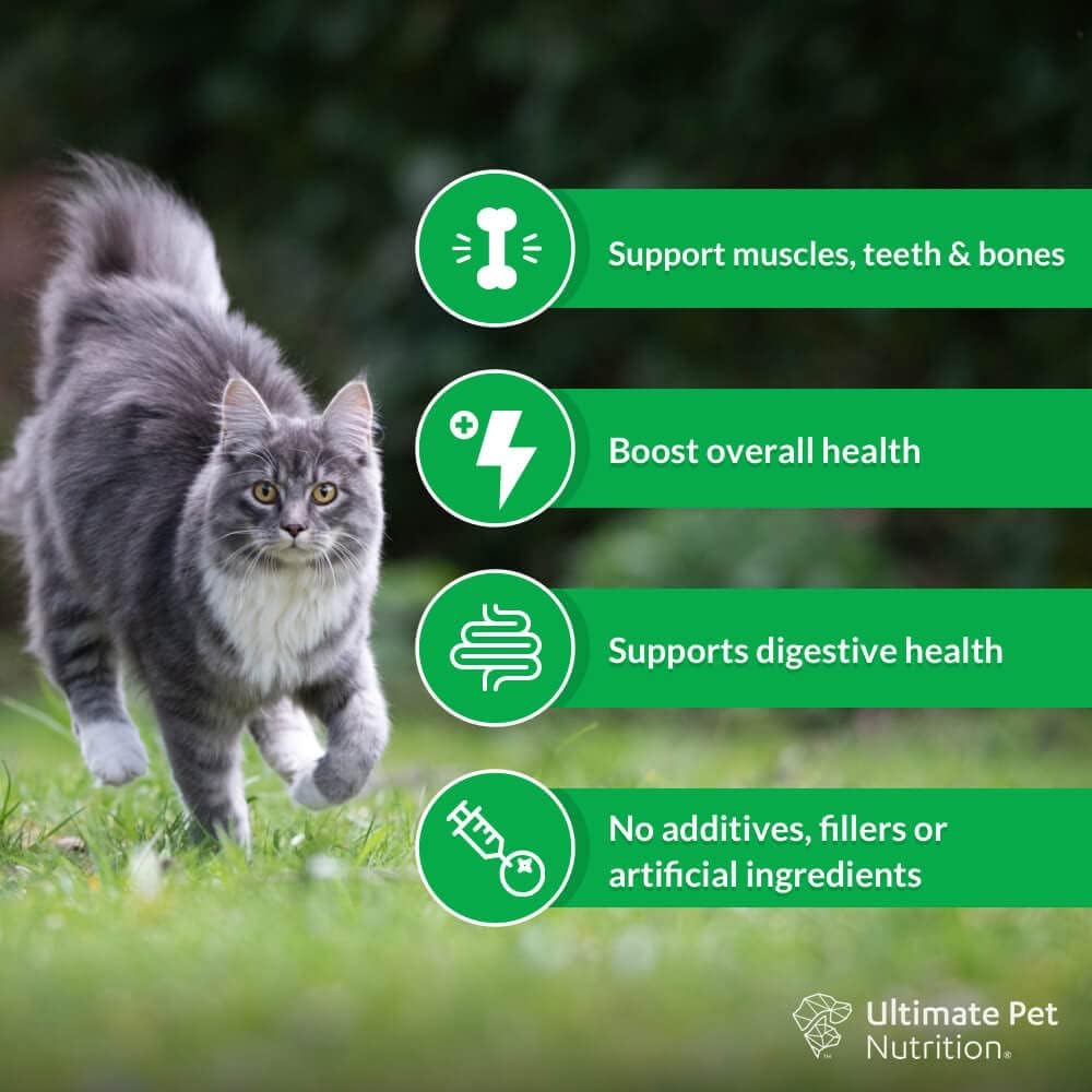 nutra-thrive-cat-nutritional-supplement---40-in-1-vitamins-minerals-probiotics-enzymes-antioxidants-superfoods---30-servings-2