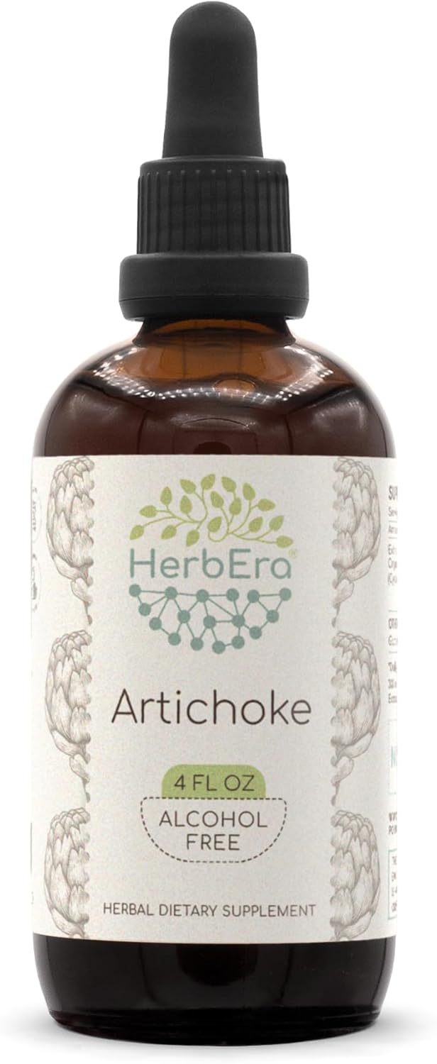 herbera-artichoke-b120-herbal-extract-tincture---alcohol-free-liquid-drops---natural-concentrated-cynara-scolymus---4-fl-oz-1