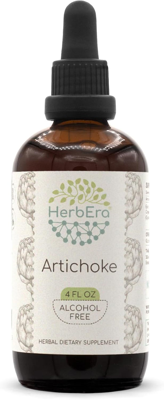 herbera-artichoke-b120-herbal-extract-tincture---alcohol-free-liquid-drops---natural-concentrated-cynara-scolymus---4-fl-oz-1