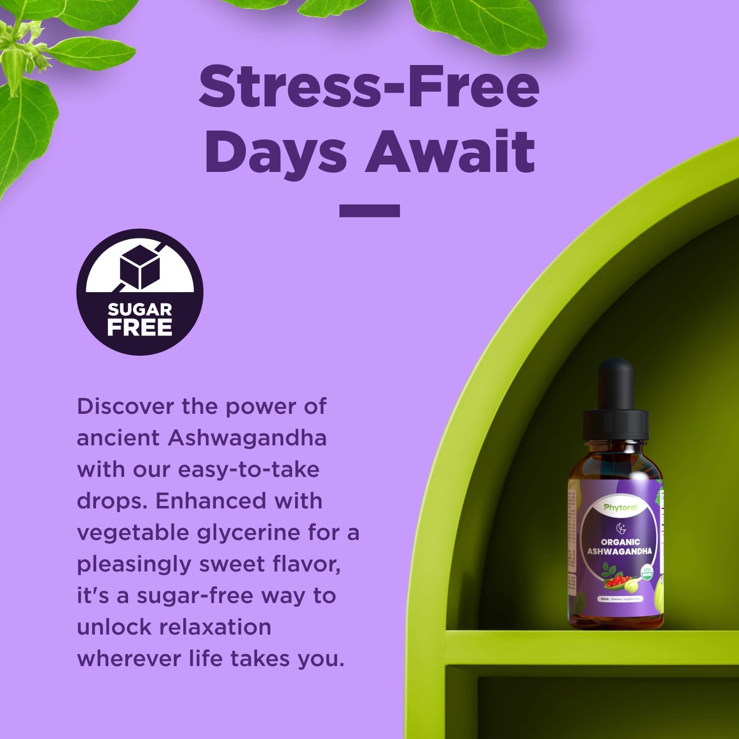 organic-ashwagandha-liquid-drops-for-energy-and-mood-support---vegan-non-gmo-tincture---phytoral-ashwagandha-root-extract-60-servings-2