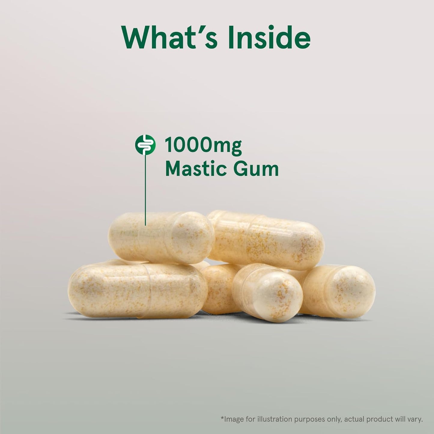 mastic-gum-1000mg-dietary-supplement-for-gastrointestinal-health---60-capsules-3