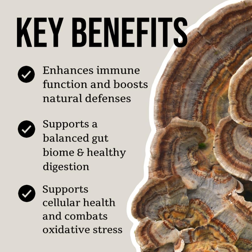 sustainably-grown-trametes-versicolor-tincture-organic-turkey-tail-mushroom-supplement-for-immune-support-vegan-non-gmo-extract---4oz-4