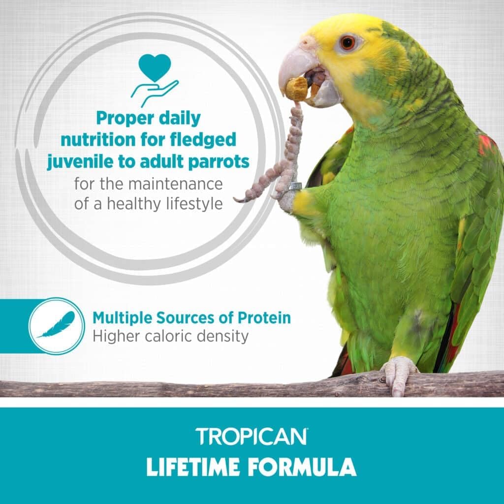 hari-tropican-parrot-food-with-peanuts-sunflower-seeds-maintenance-granules-2mm-lifetime-formula---18-lb-bag-3