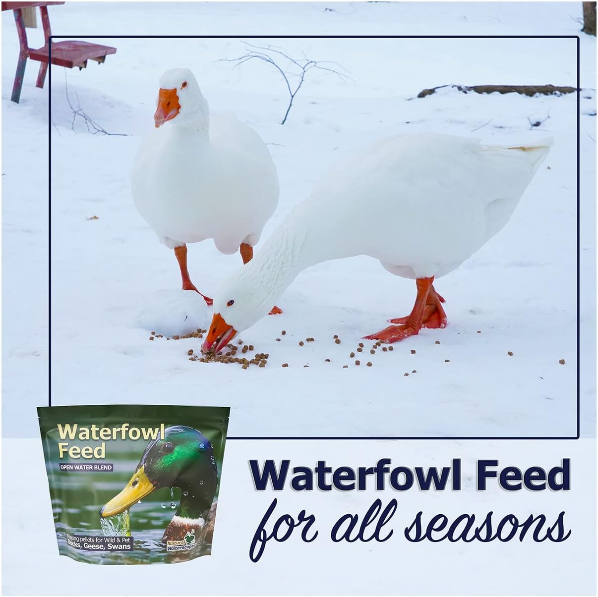 floating-waterfowl-feed-pellets-5-lb-resealable-bag-for-ducks-swans-geese-natural-ingredients-ideal-for-wild-or-pet-ducks-6