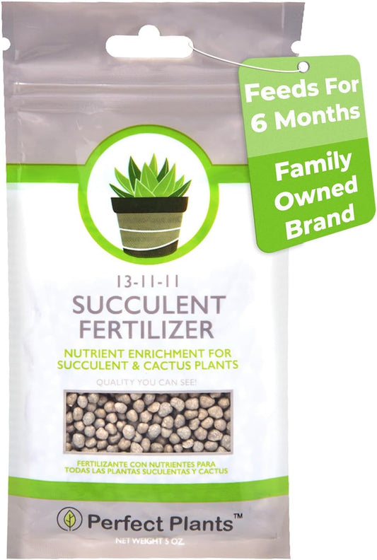 5oz-succulent-and-cactus-fertilizer---gentle-plant-food-for-live-succulents-cacti-desert-houseplants---long-lasting-formula-by-perfect-plants-1