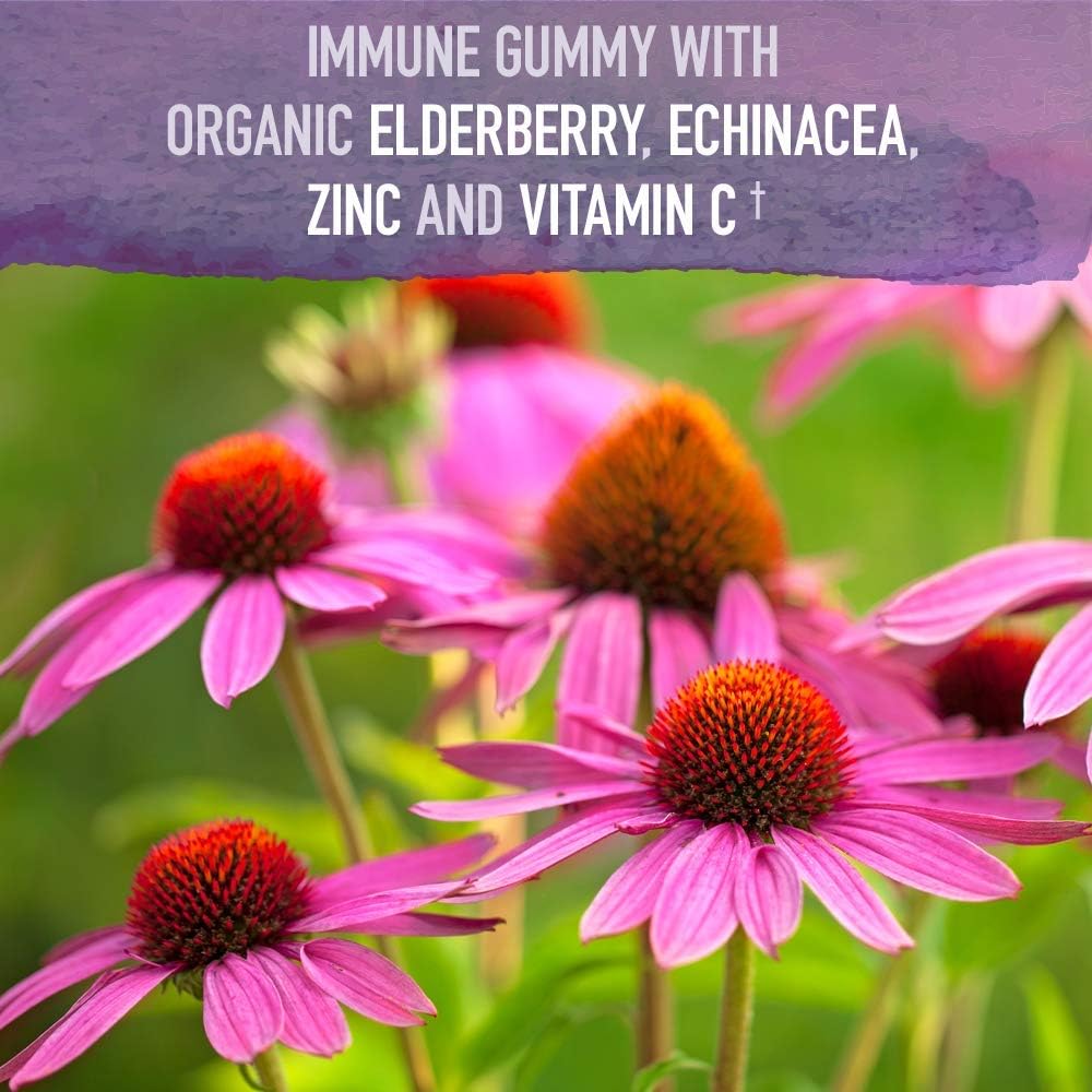 120-count-organic-elderberry-immune-gummies-for-kids-by-garden-of-life-3